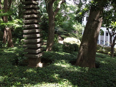 P6042239