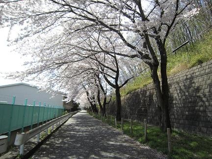 東光寺小学校の裏にも