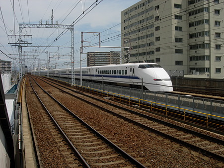 DSCN8655