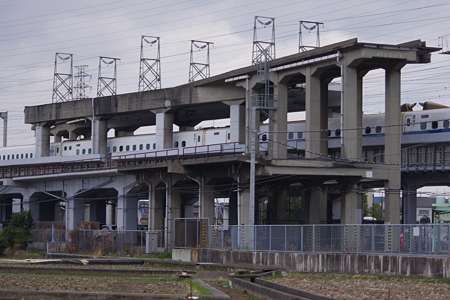 IMGP7164