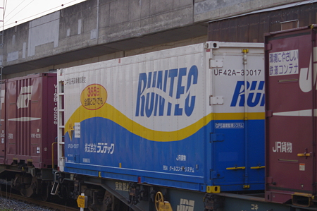 IMGP7428