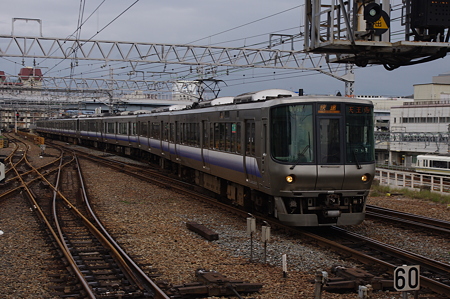 IMGP1444