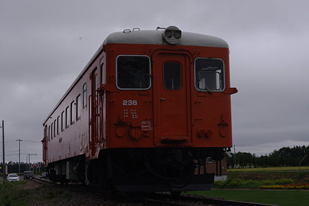 IMGP2449