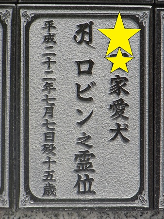 ロビン