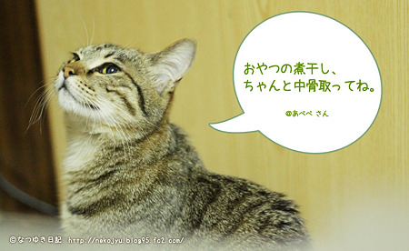 セリフ