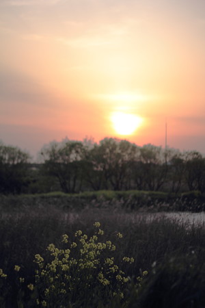 夕暮れ時
