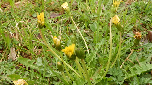 P4040311