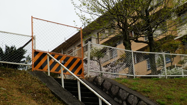 P4040320