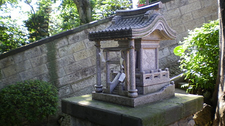 IMGP5547
