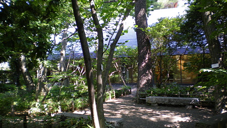 IMGP5556