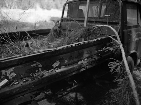 Image0209（Mamiya M645 1000S）