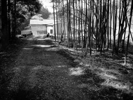Image0211（Mamiya M645 1000S）