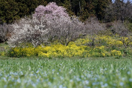 DSC00124