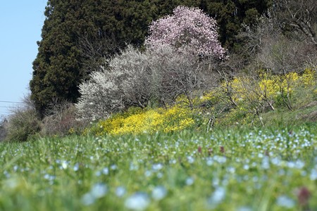 DSC00105