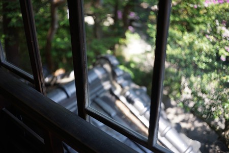 DSC00522