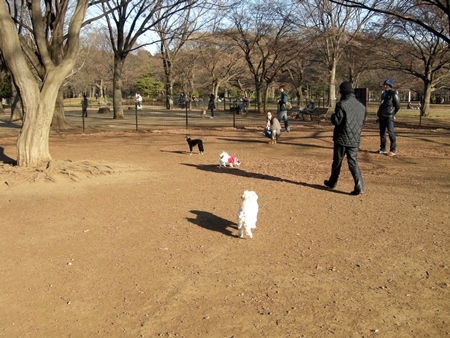 DSCN1512
