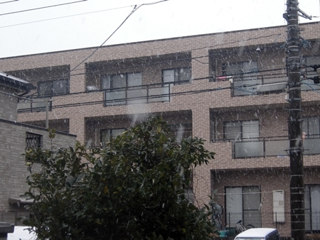 DSCN1664