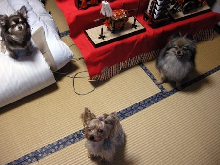 DSCN2039 (2)