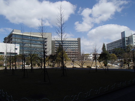 P3105115