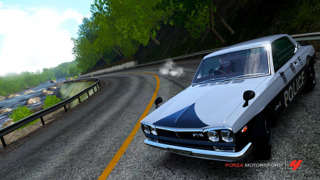 Forza11