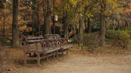 DSC00925