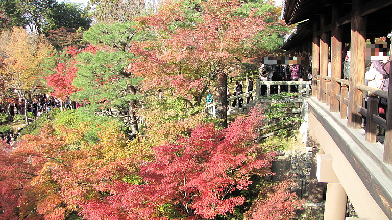 東福寺3
