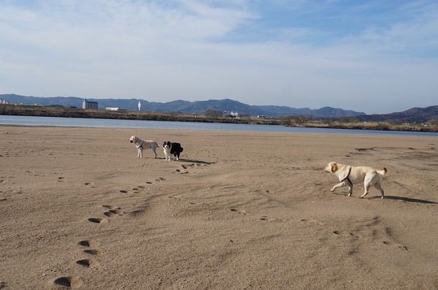川原