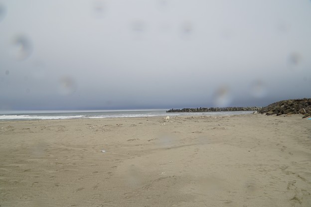 海