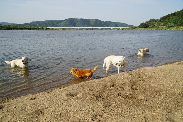 真夏日