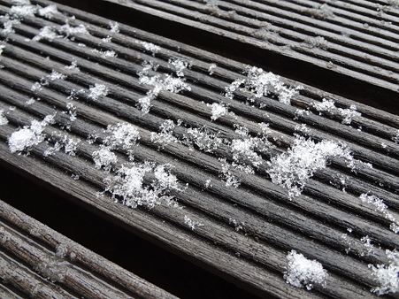 雪12022902