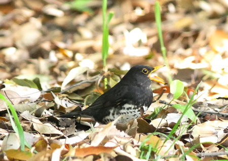 418gh4