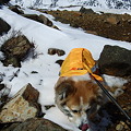 Photos: DSCF9663