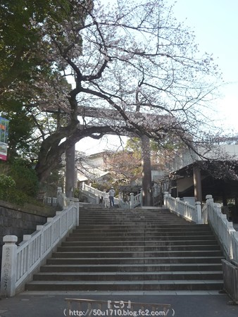 150328-伊勢山皇大神宮 (1)