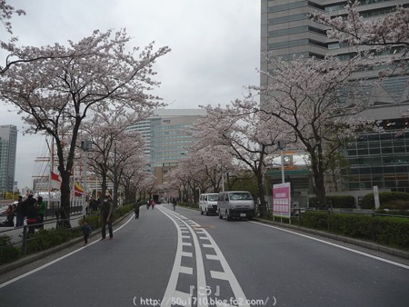 150404-MM21 (8)