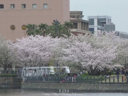 150404-MM21 (20)
