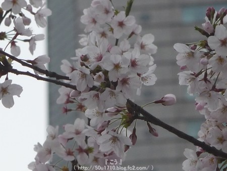 150404-MM21 (26)