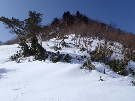2012032009