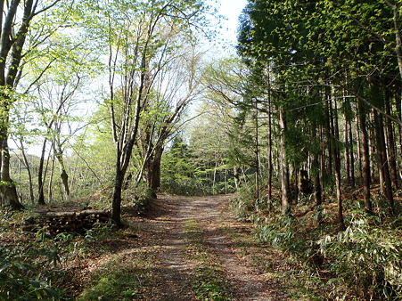 2012050504