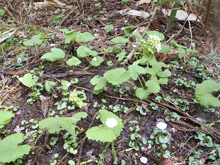 2012050524