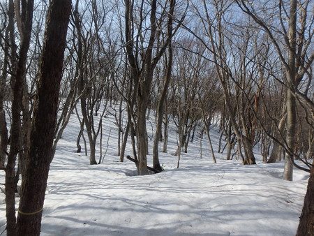 15032117