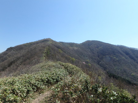15042628