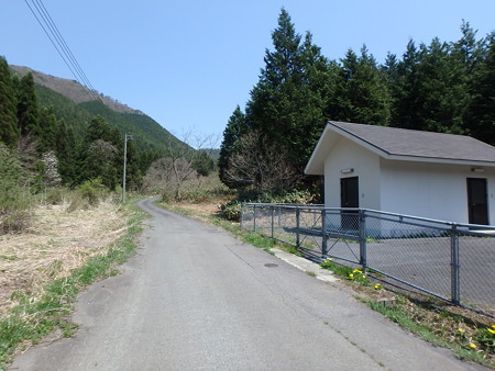 P4260078