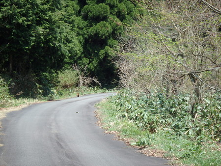 P4260080
