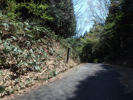 P4260081