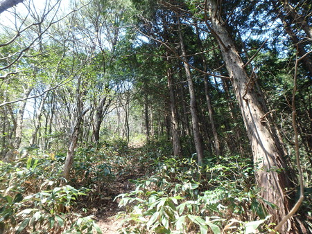 P4260083