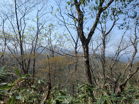 P4260084