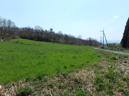 P4260100