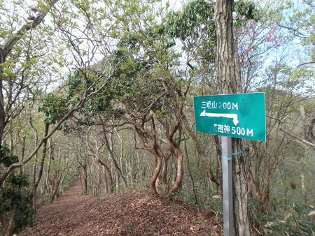 15042919