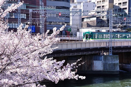 桜とおけいはん