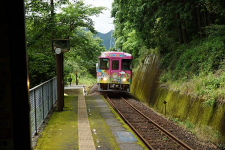 高知ドライブ (15)